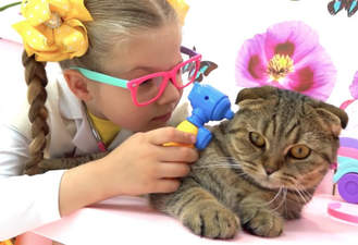 برنامه کودک دیانا و روما ماجراجویی با گربه قسمت اول