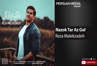 آهنگ رضا ملک زاده - نازک تر از گل Reza Malekzadeh - Nazok Tar Az Gol 