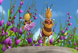 کارتون مایا زنبور عسل / مسابقه زنبور عسل