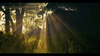 فیلم کوتاه جنگل گمشده The lost Jungle