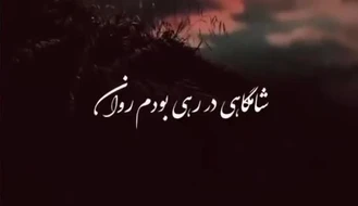 شامگاهی در رهی بودم روان …!