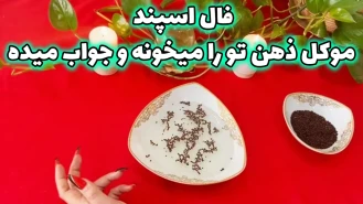 فال اسپند موکل ذهن تو را میخونه 