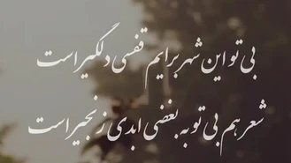 بی تو این شهر برایم قفسی دلگیر است💔