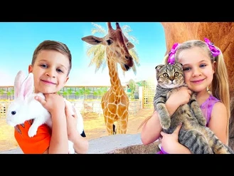 برنامه کودک دیانا و روما / فیلم های خنده دار با گربه