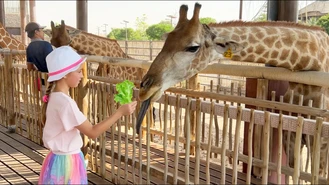 برنامه کودک سوفیا / یک روز در باغ وحش و غذا دادن به حیوانات 