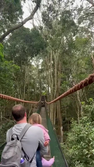 میمون گیبون روی پل طنابی بالای سر خانواده می چرخد 
