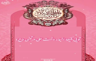 استوری ولادت حضرت زینب کبری سلام الله علیها 