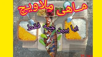 بیــا باهم به دنیای غذاهای دریایی جنگلی بریم.اونم تو جنگل تهروون ️️