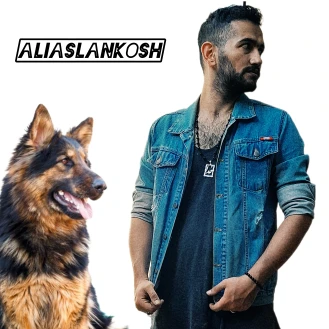 AliAslankosh 